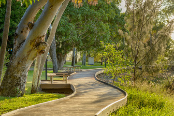 A boardwalk in a lush coastanl area in Queensland, Australia.