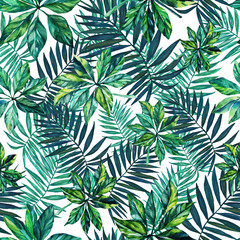 Seamless pattern. Tropical plant. Leaves on white background.  Watercolor drawing. For design, decoration,background, illustration, textiles, and Wallpapers.