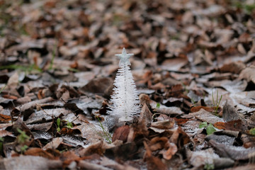 Alternative White christmas tree with star. Great design for any purposes. New Year decoration. Nature background with brown leaves. Winter season. Merry xmas card. Art design. Happy new year.