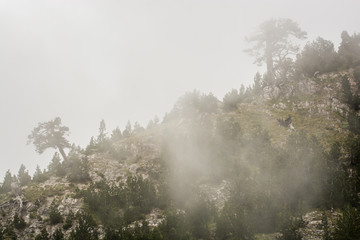 Mountain peak in fog in Kroni i T'thores, Albania, Europe