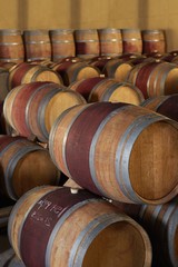 Wine Casks In Cellar