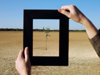 Woman Framing Plant In Desert