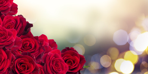 frame of dark red roses