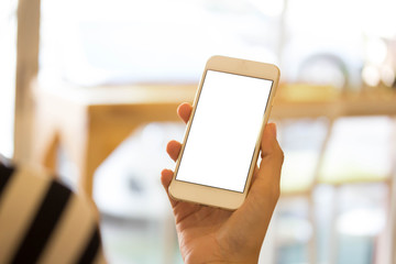 Blank display smartphone on shopping store online display text pay and shopping cart on screen