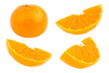 orange fruit fly Set  on white background isolated .