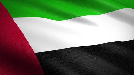 Flag of The United Arab Emirates. Realistic waving flag 3D render illustration with highly detailed fabric texture