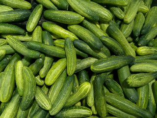 cucumbers in the market