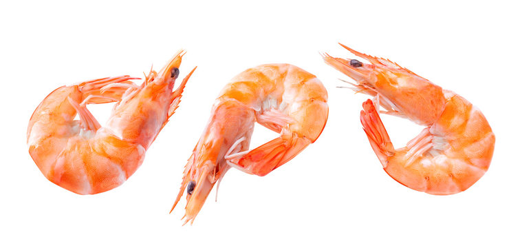Boiled shrimp isolated on white isolated Collection. shrimp Clipping Path Image stack Full depth of field macro shot