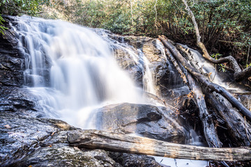 waterfall in the forest