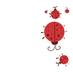 Obraz premium ladybug on white background