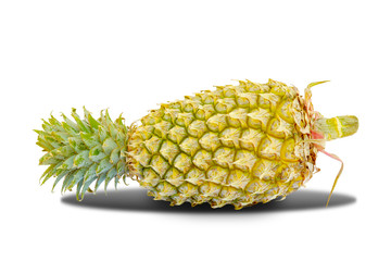 Pineapple in the white background isolated .clipping path