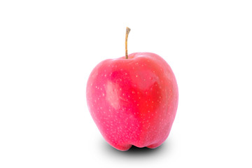 Fototapeta na wymiar Apple in the white background isolated .clipping path
