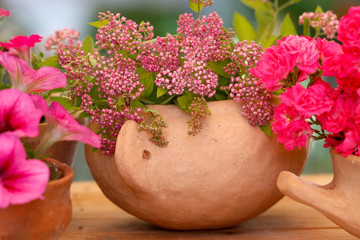 Rosenblüten und Spiraea in Tonschalen als Dekoration