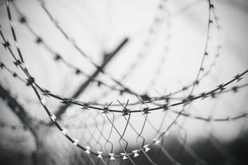 Black-and-white grim sad image of barbed wire wrapped on top of a fence enclosing a prison or...