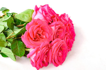 Bouquet of pink color beautiful roses isolated on white background. Selective focus. Copy space.
