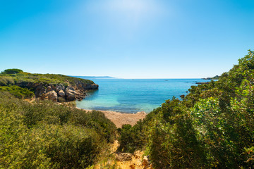 Green plants and blue sea in Alghero shore