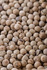 white peppercorns seed on white acrylic background