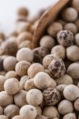 white peppercorns in wooden scoop on white background