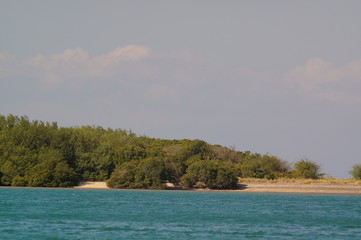  Beach with white sand and mangrove plants that are still hidden from the crowd