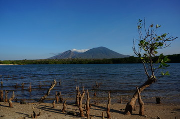 Fototapeta na wymiar The beach with white sand background Baluran mountain which is still hidden from the crowd