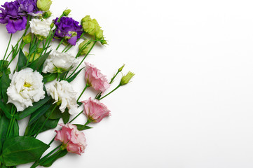 A bouquet of bright colorful flower eustoma. Pink, white and purple lisianthus on a white background. Spring floral background Copy space, Top view, flat lay.