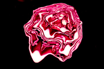 abstraction in the form of an image on an isolated black background macro photography,