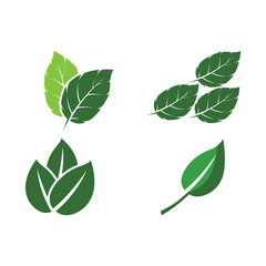 Set Leaf Mint Logo Template vector symbol