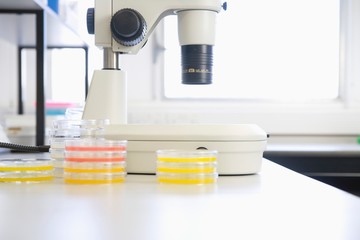 Microscope And Petri Dishes In Laboratory
