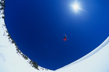 Skier Performing Flip On Snow Mountain