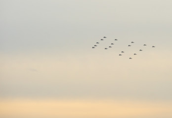 Malmo - Sweden December 16 2019: Swedish fighter jet Saab 39 Gripen or JAS 39A/B/C/D Gripen, flies Christmas tree formation over Malmo port , December 16 2019