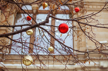 red and gold Christmas balls on a tree