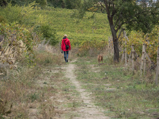 Femme promenant son chien