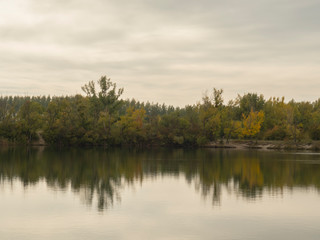 Fototapeta na wymiar Paysage, rive du Danube, arbres et reflet dans l'eau