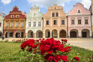 Fototapeta na wymiar flowers in front of old houses