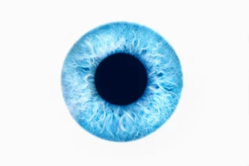 Tuinposter Blue Eye On White Background © moodboard