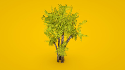 3D rendering of a palm tree isolated on yellow background