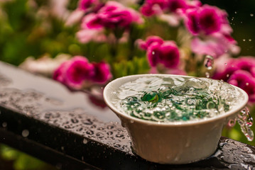 Wasserplatscher in weiße Porellanschale mit Wasser und Glasmurmeln