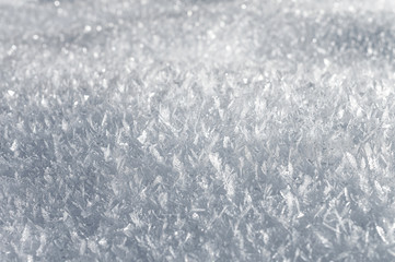 Snow background with detailed snowflakes. A macro photo of real snow crystals: large stellar dendrites with hexagonal symmetry, long elegant patterns and delicate transparent structures
