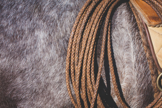 Detail of gaucho horse clothing and accessories