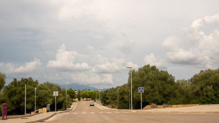 La naturaleza recupera terreno en un barrio abandonado