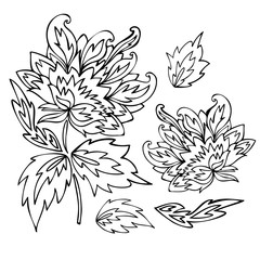 Isolated vector black and white design set of lined peony flowers. The design is perfectly suitable for clothes design, children decoration, stickers, stationary, tattoos