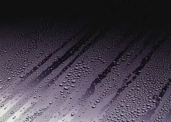 13000010