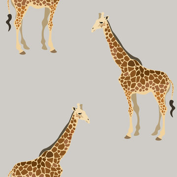 Giraffes on a tender grey background. Seamless vector illustration. Picture with exotic animals of the african savannah. Endless pattern. EPS 10