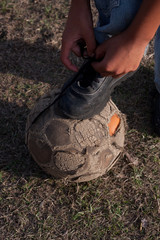 Soccer ball with use marks and destroyed buds.