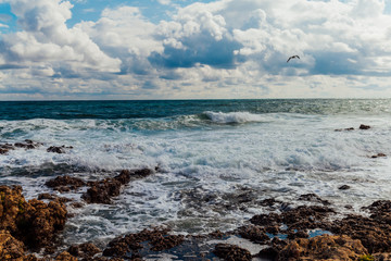 Fototapeta na wymiar Stone Beach sea coast storm and bird