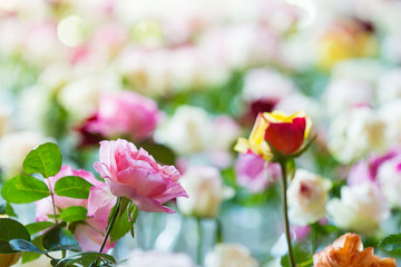 Flowers Wall Background With Amazing Multicolor Roses, Wedding Decoration, Retro Filter Tone.