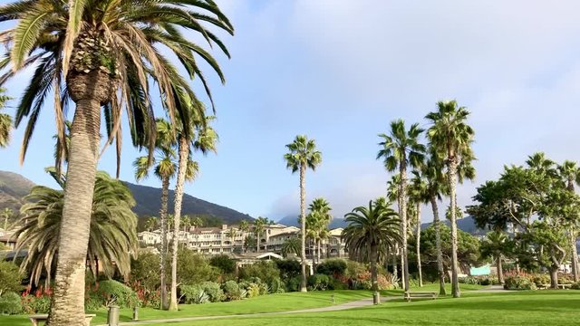 Beautiful park in Laguna Beach in California.