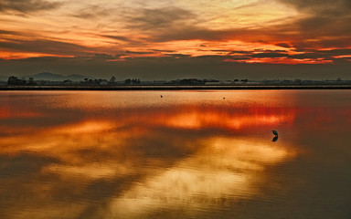 Cervia, Ravenna, Emilia Romagna, Italy: landscape at sunset of the lagoon in the salt flats of the Po Delta Park