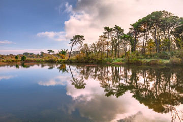 Ravenna, Emilia Romagna, Italy: landscape of the lagoon in the Po delta park