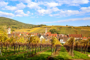 Village de Riquewir vue des vignes